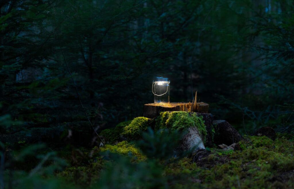 Glas mit Licht auf Baumstumpf in dunklem Wald