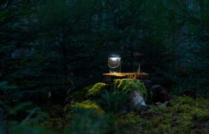 Glas mit Licht auf Baumstumpf in dunklem Wald