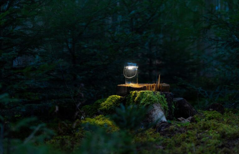 Glas mit Licht auf Baumstumpf in dunklem Wald